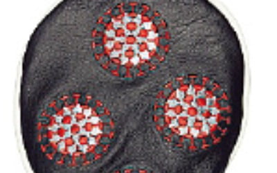 이 시국에…'코로나 헤드커버' 논란