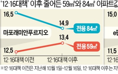 전용 59㎡ 오르고, 84㎡ 내리고…'마용성' 중·소형 가격차 1.5억