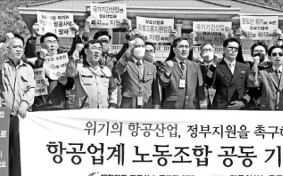 "더 늦기 전에 항공산업에 금융지원해야"