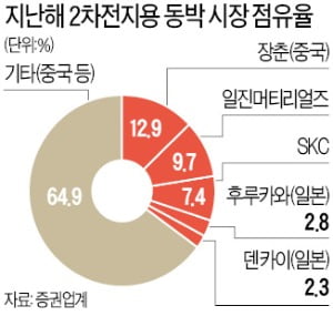 만든대로 팔리는 '동박'…일진머티리얼즈·SKC '투톱' 뜬다