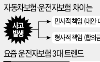 운전자보험 경쟁…"월 990원에 변호사선임까지"