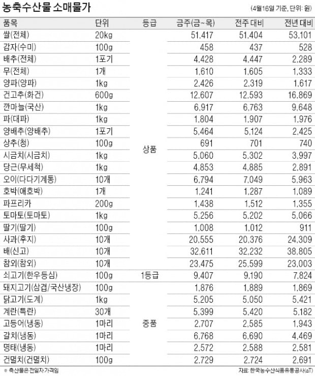 애호박 가격 연일 하락…보름새 도매가 30%↓