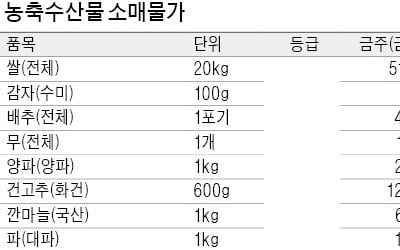 애호박 가격 연일 하락…보름새 도매가 30%↓