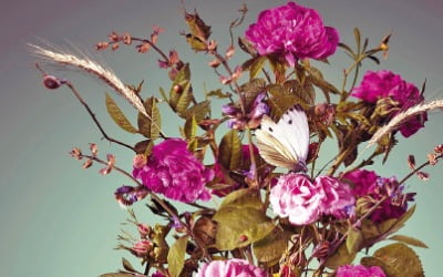 香, 꽃이 되다…신세계인터내셔날 佛 향수 딥티크, 봄 한정판 '임파서블 부케 컬렉션'