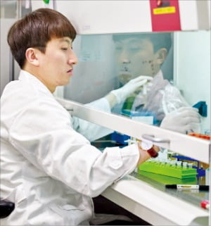 경기 성남시의 지놈앤컴퍼니 연구소에서 한 연구원이 균주를 선별하고 있다.  /지놈앤컴퍼니 제공 