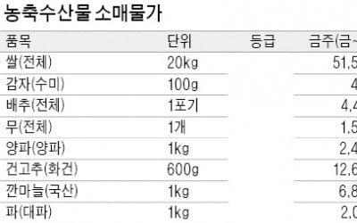 양배추·시금치 가격 오름세…수확철 끝나자 생산량 급감