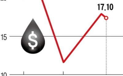 "美, 유정 폐쇄 시작됐다"…유가 이틀새 45% 뛰었다