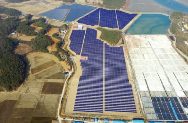 한국서부발전은 지역 일자리를 창출하기 위해 태양광 발전사업을 하고 있다. 충남 태안군에 염전·양어장을 활용한 삼양태양광 발전소 전경. 한국서부발전 제공 