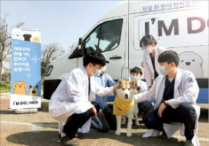 현대자동차는 한국헌헐견협회와 내달부터 10월까지 반려견 헌혈 캠페인을 진행한다. 현대자동차 제공 