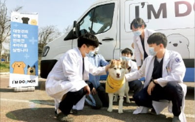 현대車, 반려견 헌혈문화 확산 2차 캠페인