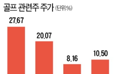 주말 '풀 예약'…날개 편 골프株