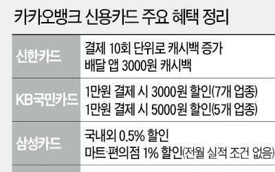 라이언 새겨진 '카뱅 카드' 쓸까, 대한항공 마일리지 카드 쓸까