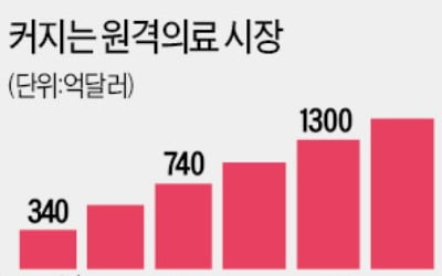 '막힌 혈관' 뚫리나…꿈틀대는 원격의료株