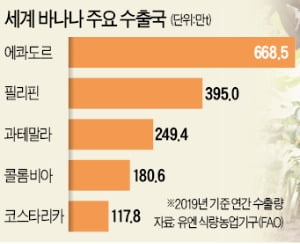 [숫자로 읽는 세상] 바나나가 귀해진다…필리핀 수출량 전년의 60% 수준 전망