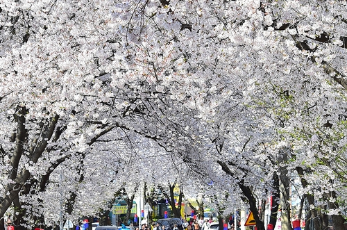 제천시, 청풍면 물태리·의림지 주말 '거리 두기' 행정명령