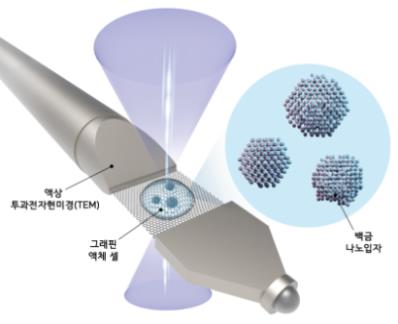 "나노입자 구조, 원자 하나까지 본다"…0.02nm급 분석기술 개발