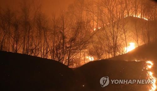 청명·한식 앞둔 동해안 산불비상…"답답함에 나온 상춘객 변수"