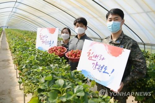 공군 18전투비행단, 딸기·감자 등 지역 먹거리 공동구매