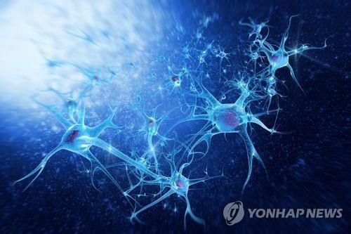 "매년 150만 사망 결핵, 숙주의 철분 빼내는 거 막으면 잡힌다"