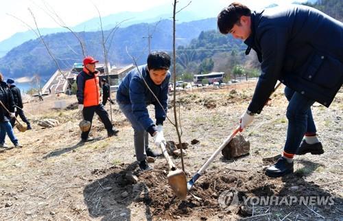 청명·한식 앞두고 건조한 날씨 이어져…내일도 큰 일교차