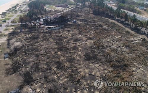 산불에 소실된 동해 오토캠핑리조트, 내화성 자재로 복구