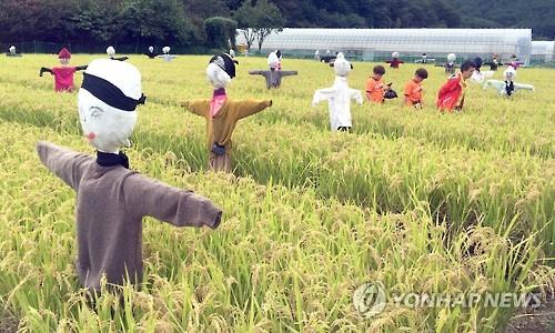 영월에 도시민 힐링·농촌체험 공간 '서울농장' 조성