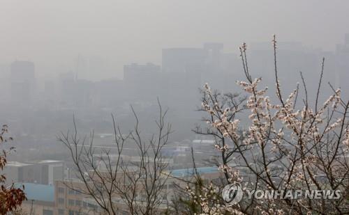 대전·세종·충남 강한 바람에 쌀쌀…오전 황사 영향권