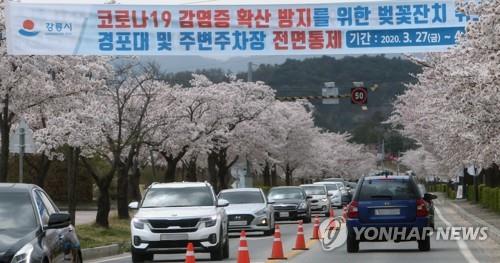 '가고 싶다' vs '오면 안돼' 강원 동해안 관광명소 진땀