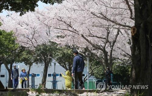 코로나19 기세 주춤…전국 봄꽃 명소·유원지 오랜만에 활기