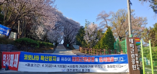 '꽃은 만발했는데'…대전 벚꽃명소 입구·주차장 줄줄이 폐쇄