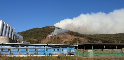 식목일 곡성·순천 야산서 불…산림 당국 "큰불은 잡아"