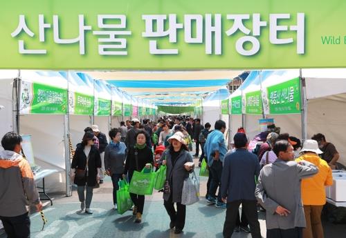 코로나19 확산에 영양산나물축제 취소