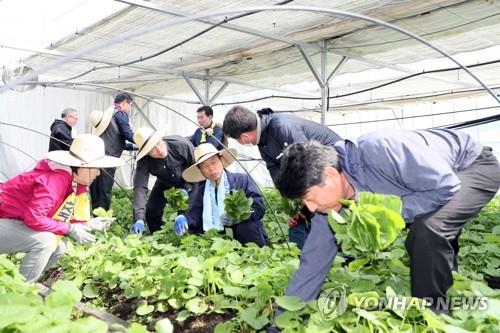 코로나19 극복 일손돕기 나선다…강원농업인력지원봉사단 출범