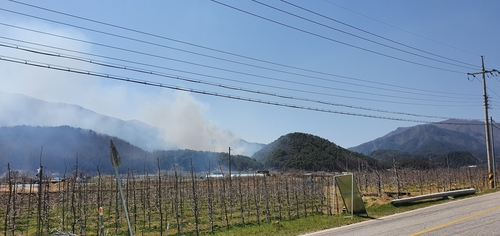 봉화 춘양면 산불 1천㎡ 태우고 꺼져(종합)