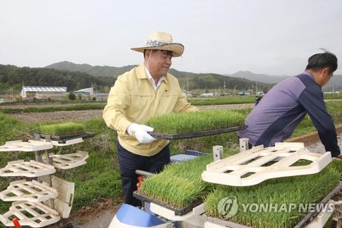 동해시, 학교 급식용 친환경 쌀 재배단지 54㏊ 조성