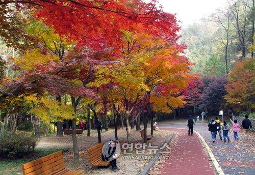 대전환경단체 "총선 후보 환경공약 대부분 개발사업"