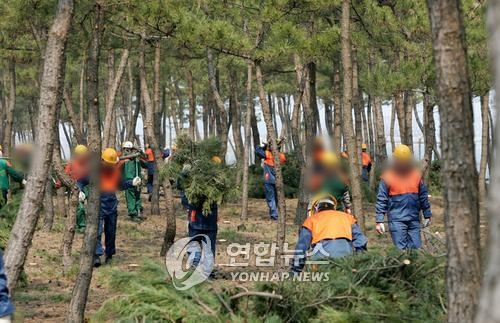 강원도, 코로나19 극복 100억 투입 1천여명 공공일자리 지원