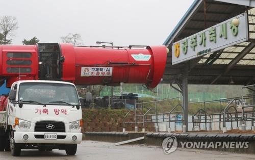 코로나19로 폐쇄한 충남 가축시장 10곳 재개장