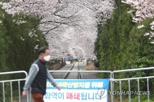 '오락가락 비 소식' 궂은 휴일…전국 유명 명소 '썰렁'