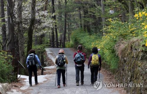 '오락가락 비 소식' 궂은 휴일…전국 유명 명소 '썰렁'