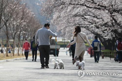 충북 맑고 건조한 날씨…낮 기온 17~19도