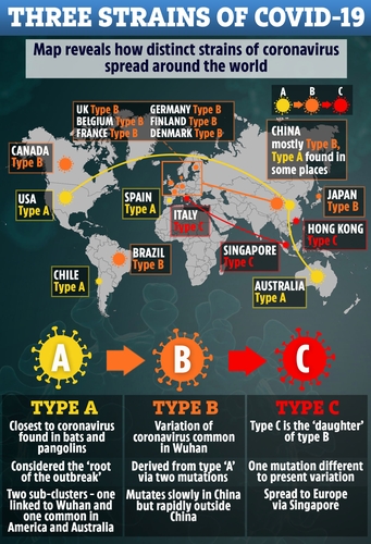 "코로나19, 3가지 유형의 변이 일으키며 세계로 퍼져나가"