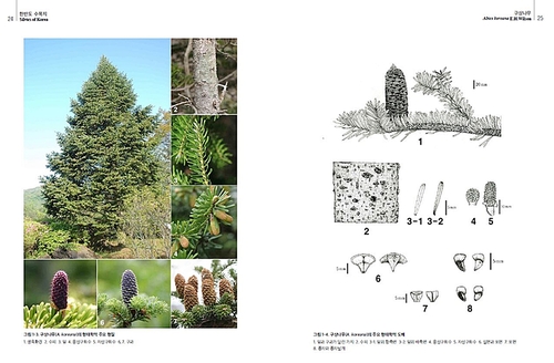 국립수목원, 한반도 자생 구과식물 지도 발간