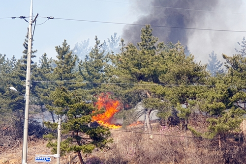 서산 대산읍 산불 재발화…헬기 등 투입해 진화 중