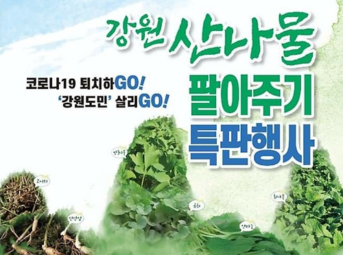 "감자 이어 나물 완판 도전" 강원 산나물 특판행사 열려