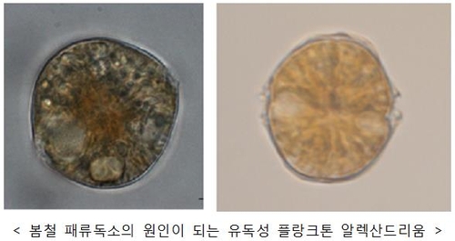 패류독소 현상, 유전자 분석기법으로 조기 예보한다