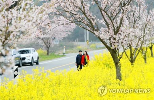 코로나19 확산세 '주춤'…전국 행락지에 나들이객 발길 이어져