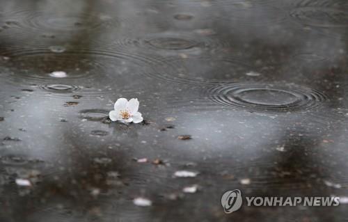 대구·경북 흐리고 오후부터 비…경북 북동 산지엔 안개