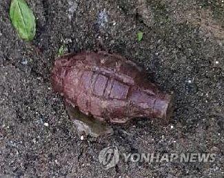 스위스서 1차 대전 수류탄 발견…제거 작업 진행