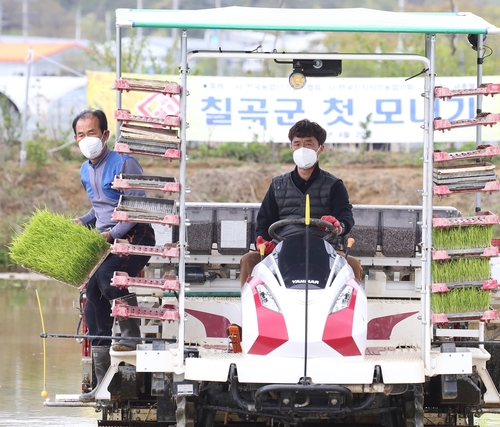 칠곡서 사회적 거리 둔 모내기…부자 마스크 착용